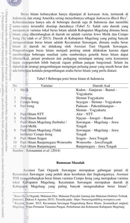 Tabel 5 Beberapa jenis beras hitam di Indonesia 