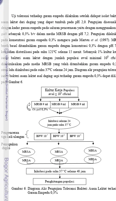 Gambar 6. Diagram Alir Pengujian Toleransi Bakteri Asam Laktat terhadap Garam Empedu 0,3% 