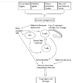 Gambar 2.1 Patogenesis dari SLE (Mok dan Lau, 2003). 