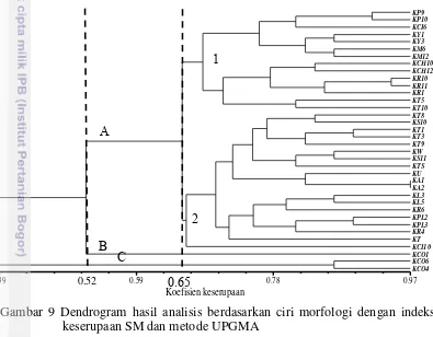 Gambar 9 Dendrogram hasil analisis berdasarkan ciri morfologi dengan indeks 