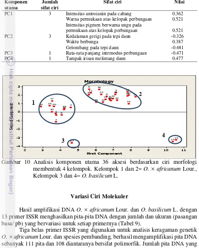 Gambar 10 Analisis komponen utama 36 aksesi berdasarkan ciri morfologi 