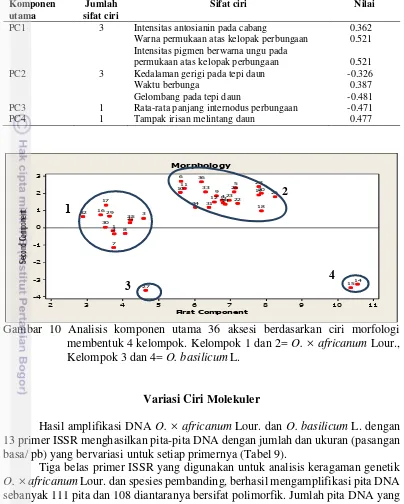 Analisis Keragaman Genetik Kemangi (Ocimum × Africanum Lour ...