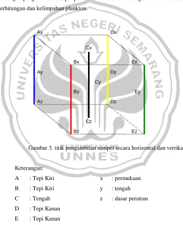 Gambar 3. titik pengambilan sampel secara horizontal dan vertikal 