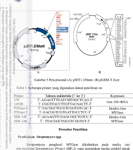 Gambar 5 Peta plasmid (A) pJET1.2/blunt, (B) pGEM-T Easy 
