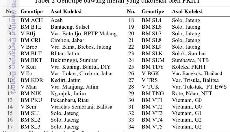 Tabel 2 Genotipe bawang merah yang dikoleksi oleh PKHT 