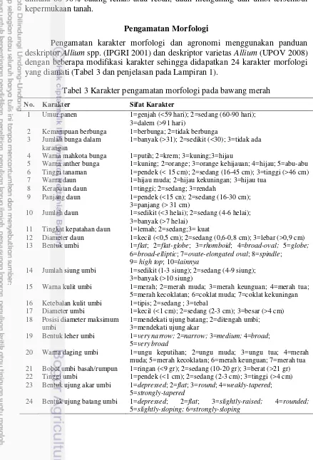 Tabel 3 Karakter pengamatan morfologi pada bawang merah 