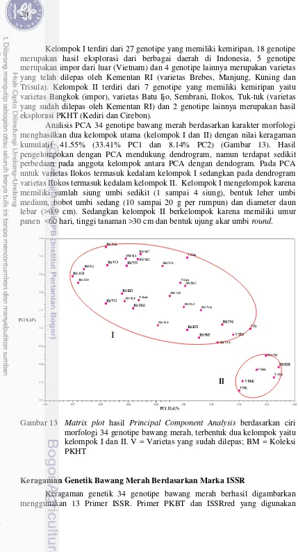 Gambar 13 Matrix plot hasil Principal Component Analysis berdasarkan ciri 