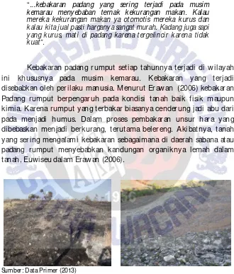 Gambar 4.3 Lokasi Kebakaran Padang Pengembalaan Ternak 