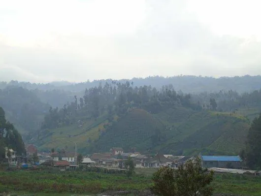 Gambar 2 Pemandangan Desa Ranu Pani dilihat dari Resort Ranu Pani 