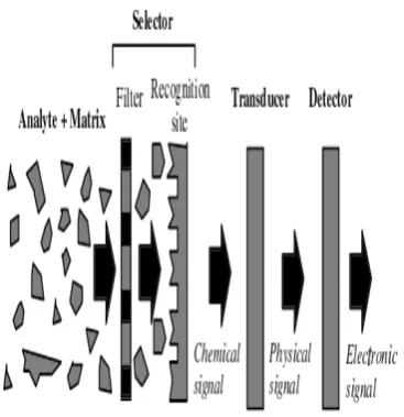 Gambar 1  Komponen utama biosensor [6] 