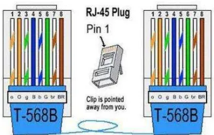 Gambar 2.6 Warna Kabel Straight 