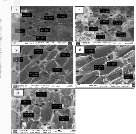 Gambar 7 Mikrograf SEM karbon aktif Eceng Gondok (a) tanpa aktivasi, (b) aktivasi kimia NaOH 25%, (c) aktivasi NaOH 30%, (d) aktivasi NaOH 35%, (e) aktivasi kimia tanpa hidrotermal perbesaran 500x 