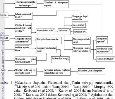 Gambar 4 Mekanisme Saponin, Flavonoid dan Tanin sebagai Antelmintika  