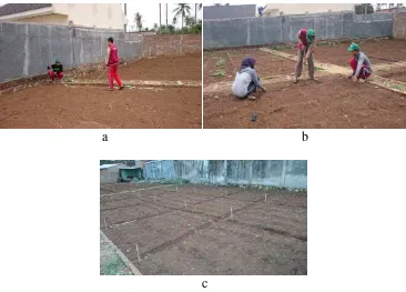 Gambar 3. Penyiapan lahan, a) pengukuran luas lahan, b) pembuatan petak lahan, c) lahan setelah pemetakan 