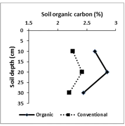 Figure 3. Soil organic carbon storage (a) and yield of Chinese cabbage (b) under organic and conventional farming systems during five years of system application 