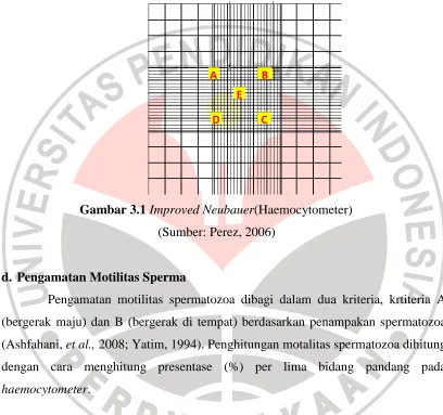 Gambar 3.1 Improved Neubauer(Haemocytometer) 