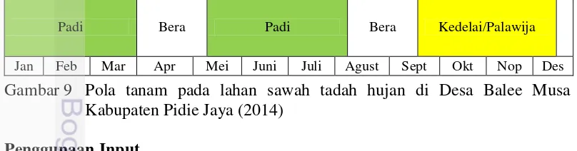 Gambar 9 Pola tanam pada lahan sawah tadah hujan di Desa Balee Musa 