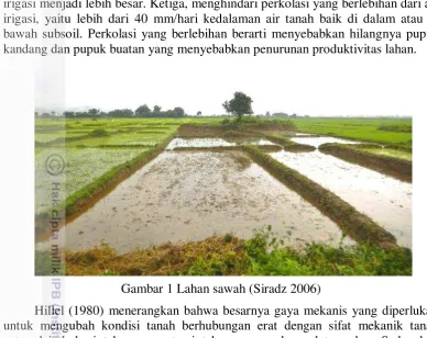 Gambar 1 Lahan sawah (Siradz 2006) 