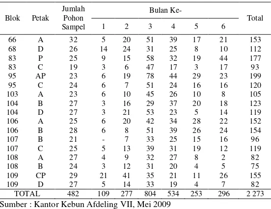 Tabel 1.  Data Sensus Buah Bulan Mei 2009 