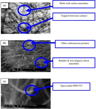 Fig.2. Morphology Observation of Synthesised MWCNTs through TEM & SEM. 