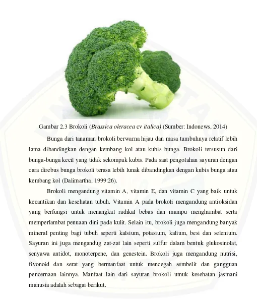 Gambar 2.3 Brokoli (Brassica oleracea cv italica) (Sumber: Indonews, 2014) 