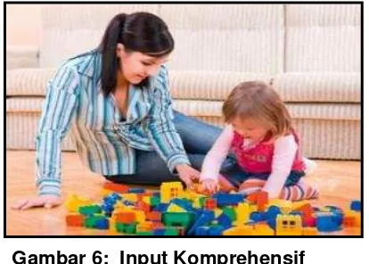 Gambar 6:  Input Komprehensif 