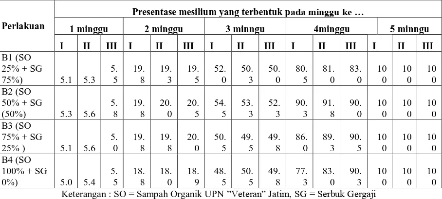 Tabel 1. Prosentase Mesilium  yang  Tampak pada Baglog  pada Pengamatan Minggu Ke 1 Sampai ke 5 