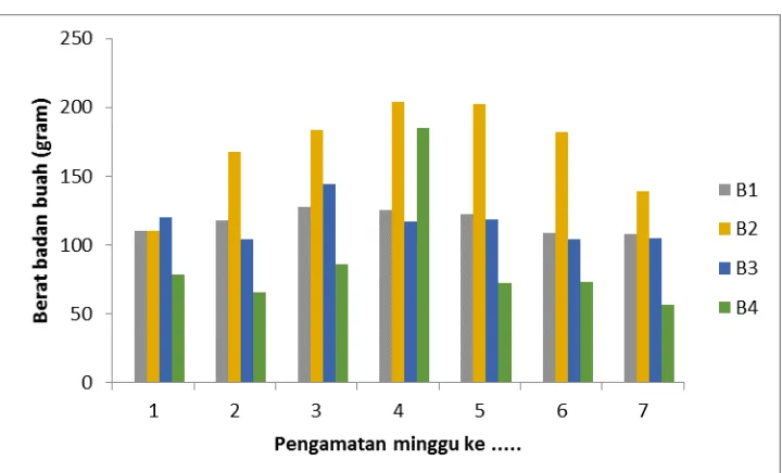 Tabel 5. Rerata Berat Segar Total Badan Buah  (gram) Akibat Perlakuan Pengaruh Media Tanam  pada Tanaman Jamur Tiram 