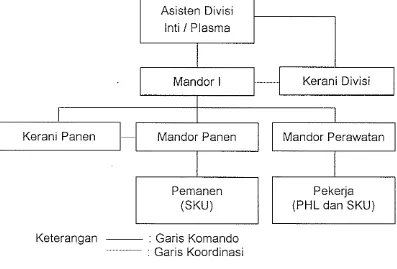 Gambar 1. Struktur Organisasi Tingkat Divisi Kebun PIR Trans Sei 