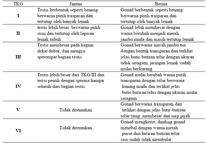 Tabel 10. Tingkat kematangan gonad ikan tilan berdasarkan Nikolsky (1963)