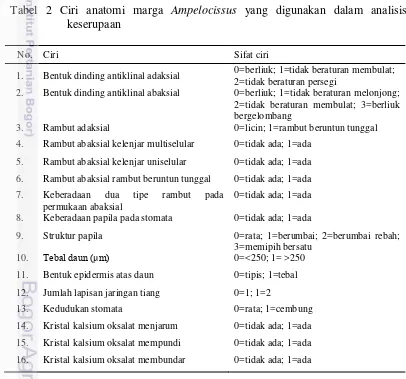Tabel 2 Ciri anatomi marga Ampelocissus yang digunakan dalam analisis 