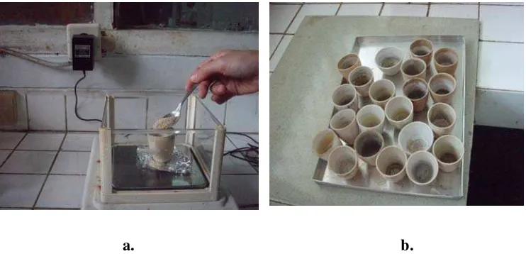 Gambar 8. Penimbangan sampel (a), Cawan porselen sebagai media untuk menyimpan sampel untuk proses pemanasan  (b)