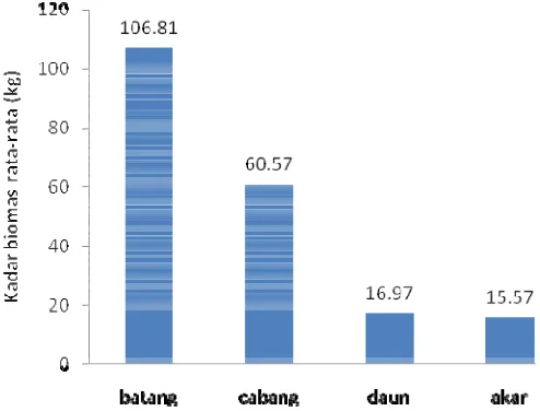 Gambar 14. Hasil analisis kadar biomassa rata-rata 