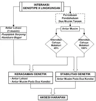 Gambar 3. Diagram alur percobaan 