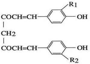 Gambar 2. Struktur kimia kurkumin I (diferuloyl methane) 