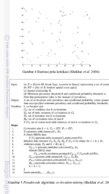 Gambar 4 Ilustrasi pola kolokasi (Shekhar et al. 2004) 