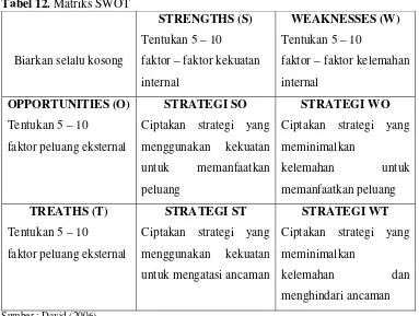 Tabel 12. Matriks SWOT 