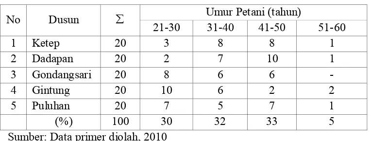 Gambar 4.1: Diagram Umur Petani 