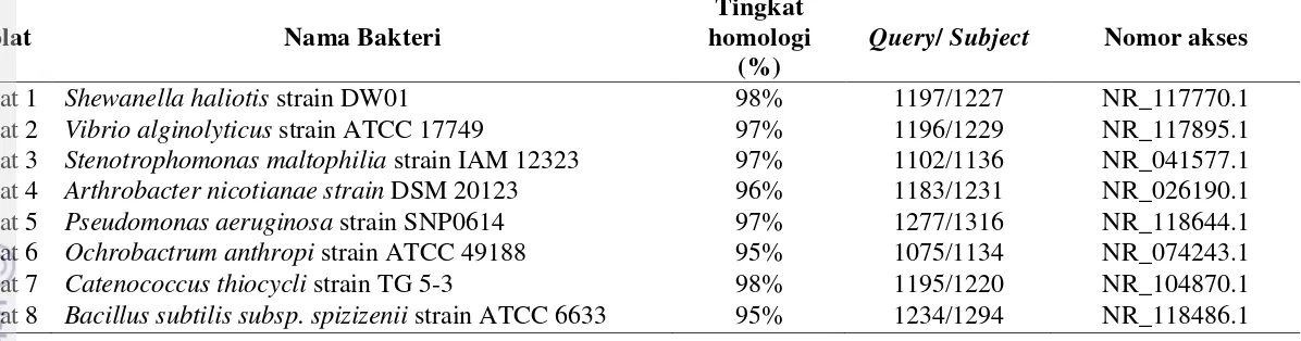 Tabel 2. Persentase kemiripan sekuen nukleotida gen 16S rRNA isolat bakteri dari rumput laut K