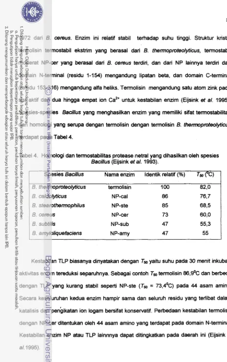 Tabel 4. Homologi dan termostabilitas protease netral yang dihasilkan oleh spesies 