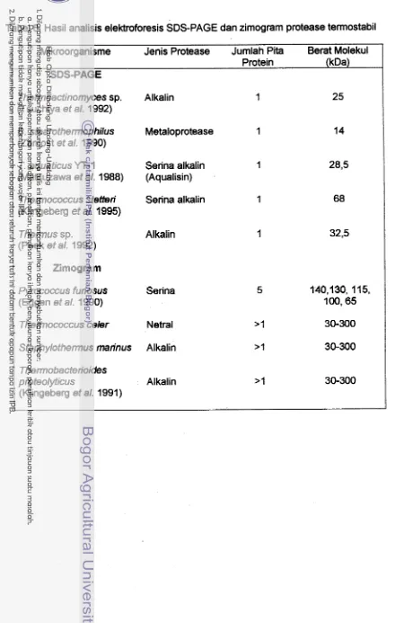 Tabel 6. Hasil analisis elektmforesis SDS-PAGE dan zimogram protease terrnostabil 