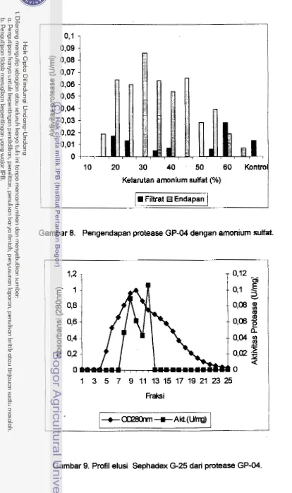 Gambar 8. Pengendapan protease GP-04 dengan amonium sulfat. 