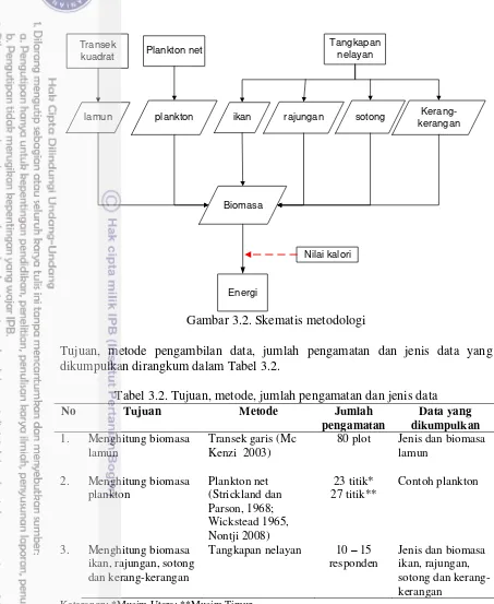 Gambar 3.2. Skematis metodologi 