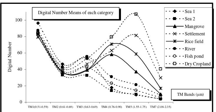 Figure 4.  The spectral signatures of the land cover categories in the study site provided by Thematic Mapper bands 