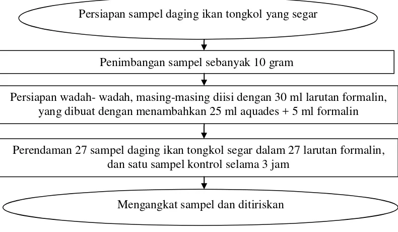 Gambar 6.  Proses perendaman ikan dalam larutan berformalin 