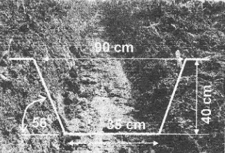 Figure 4^ Cross section of a ditch produced by a rotary ditcher.