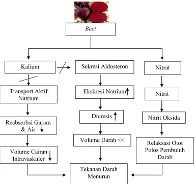 Gambar 1.1 Bagan Kerangka Pemikiran 