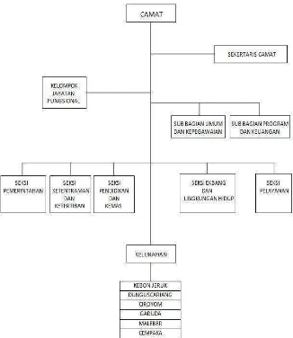 Gambar 2.1. Struktur Organisasi Kecamatan Andir 