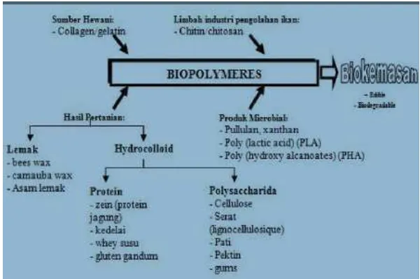 Gambar 1. Polimer biodegradabel sebagai bahan biokemasan (Tharanathan, 2003) 