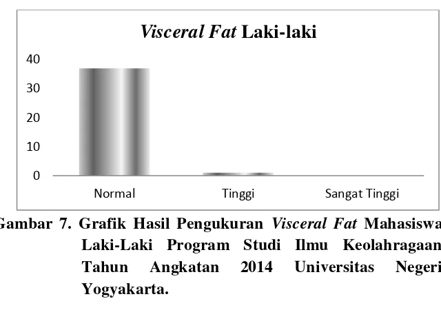 Tabel 17. Kategorisasi Hasil Pengukuran Visceral Fat 